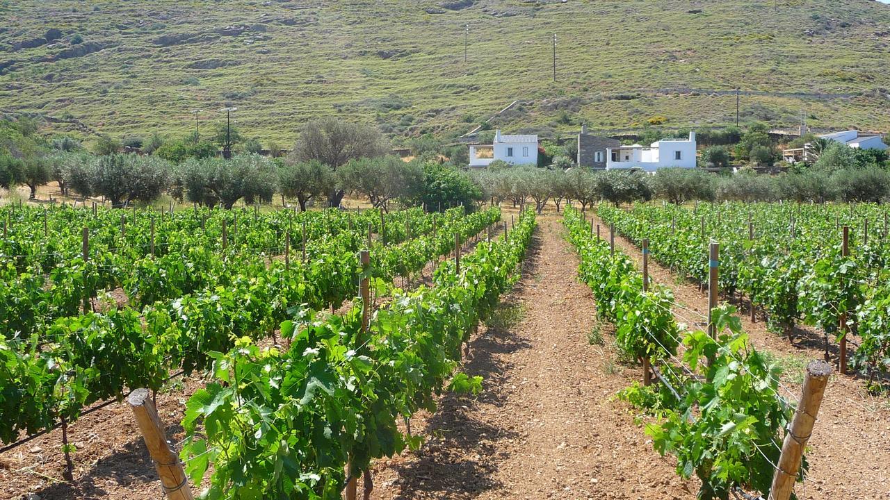 Red Tractor Farm Korissia (Kea)