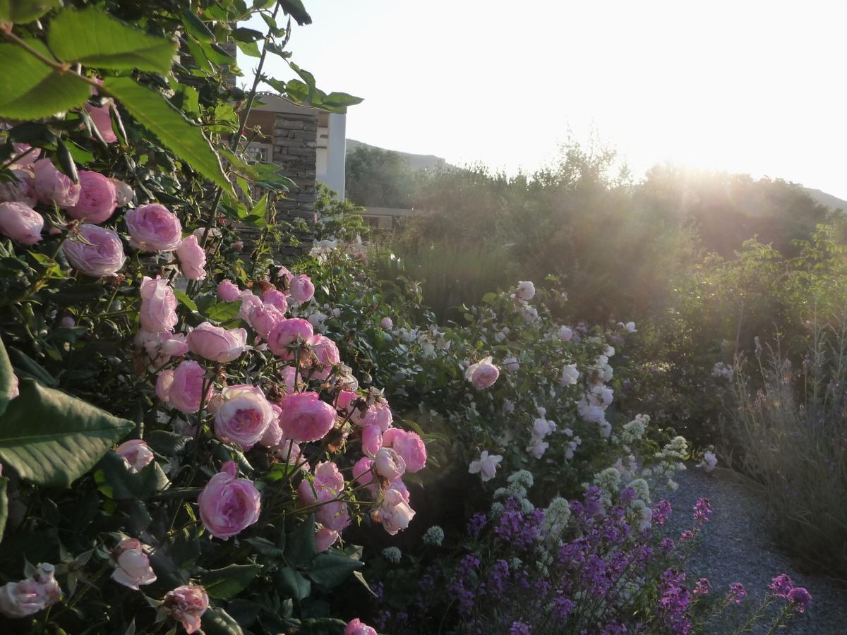 Farm stay Red Tractor Farm Korissia (Kea)
